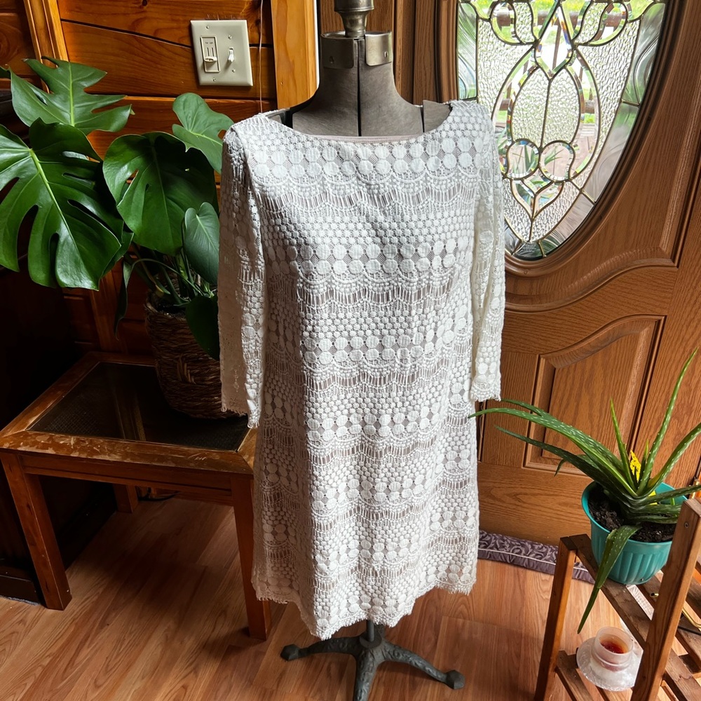 Dress barn lace dress